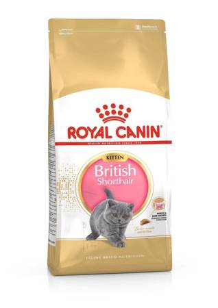 ROYAL CANIN British Shorthair Kitten 2x10kg 